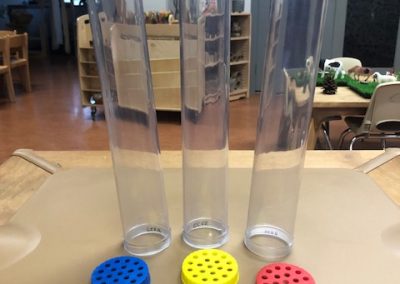 Giant Sensory Tubes
